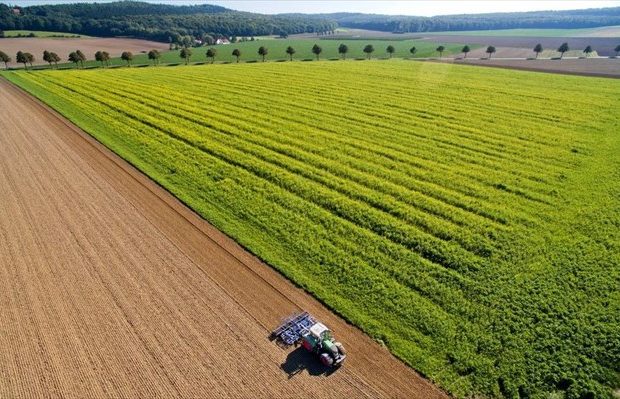 Κοινή Αγροτική Πολιτική ΚΑΠ