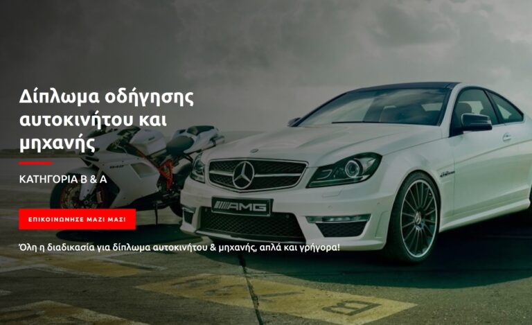 ΣΤΑΥΡΟΥΛΑΚΗΣ ΒΑΣΙΛΕΙΟΣ άδειες οδήγησης