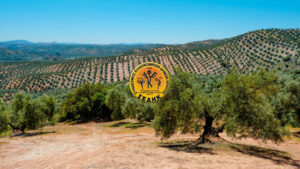 Συνδέσμου Ελαιοκομικών Δήμων Κρήτης (ΣΕΔΗΚ)