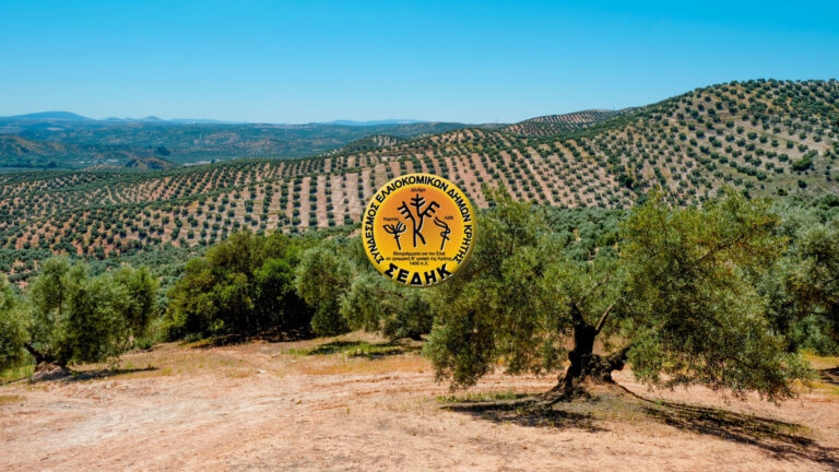Συνδέσμου Ελαιοκομικών Δήμων Κρήτης (ΣΕΔΗΚ)